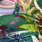 PAÑUELO SELVA  Fuks 65